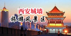 女生骚穴中国陕西-西安城墙旅游风景区